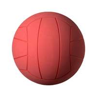 Мяч Для Игры В Торбол Звенящий