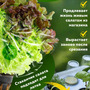 2.5.Т2 Комплект практикума "Изучение сельскохоз культур" / Эффективное животноводство и корма