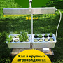 2.5.Т2 Комплект практикума "Изучение сельскохоз культур" / Эффективное животноводство и корма