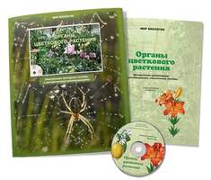 Органы цветкового растения, электронное наглядное пособие (СD-диск)