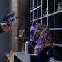 3D сканер Shining 3D EinScan Rigil
