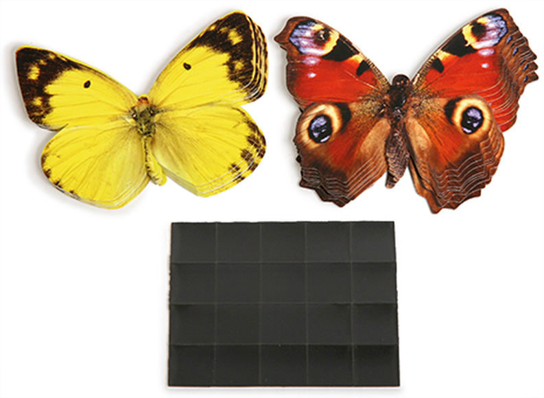 Счетный материал на магнитах Бабочки(ж+к) 20 штук