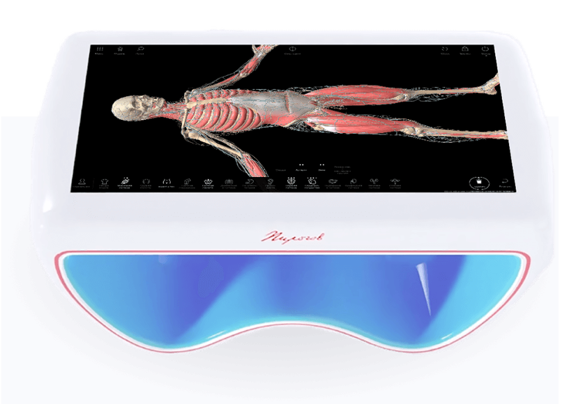 Интерактивный анатомический стол «Пирогов», модель I (149 см, 1 экран 50 дюймов)
