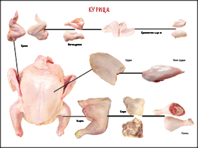 Части кур. Схема разруба курицы. Схема разделки бройлера. Части тушки птицы. Название частей тушки курицы.
