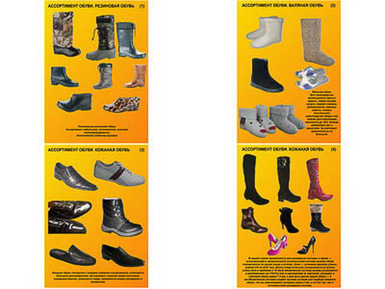 Плакаты ПРОФТЕХ "Ассортимент обуви" (4 пл, винил, 70х100)