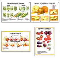 Плакаты ПРОФТЕХ "Ассортимент овощных культур" (12 пл, винил, 70х100)