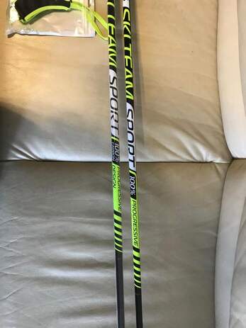 Палки лыжероллерные SKI TEAM SPORT