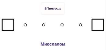 Поле для соревнования «Миослалом» BiTronics Lab