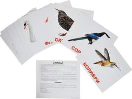Обучающие карточки «Птицы», на скрепке, 20 стр., 17х12 см