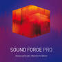 MAGIX SOUND FORGE Professional 18 (лицензия)