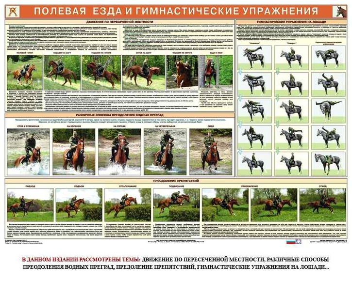 Плакаты "Служебное коневодство" (6 шт.), 59х84 см, А1, двухстороннее ламинирование