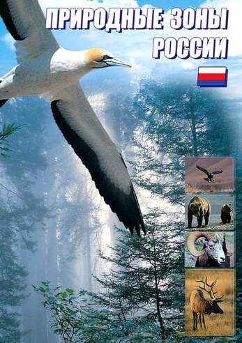 Учебный фильм. Природные зоны мира