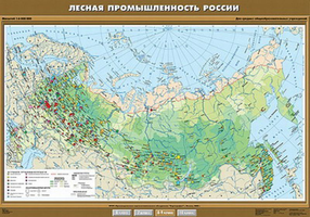 Учебн. карта "Лесная промышленность России" 100х140