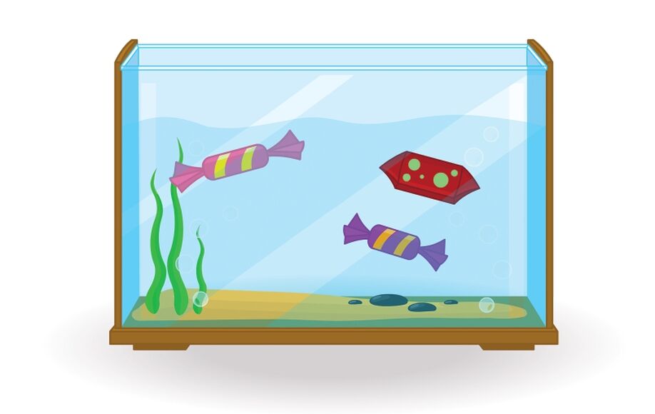 Набор карточек "Бывает - не бывает"