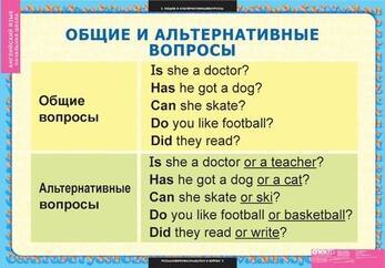 Таблицы Вопросительные и отрицательные предложения 8 шт