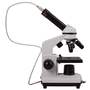 Микроскоп Levenhuk Rainbow D2L, 0,3 Мпикс, Moonstone\Лунный камень, 40–400 крат