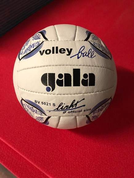 Мяч волейбольный Gala Light