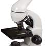 Микроскоп Levenhuk Rainbow D50L PLUS, 2 Мпикс, Moonstone\Лунный камень, 64–1280 крат