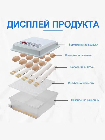 3.19. Инкубатор / Птицеводство будущего: технологи и управление. Агроклассы