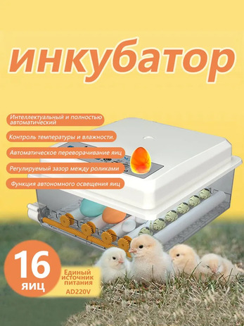 3.19. Инкубатор / Птицеводство будущего: технологи и управление. Агроклассы