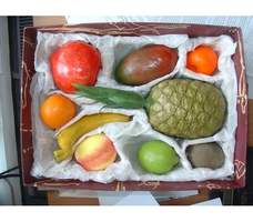 Набор муляжей тропических фруктов
