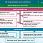 Наглядная география. Экономическая и социальная география зарубежных стран. 10-11 классы