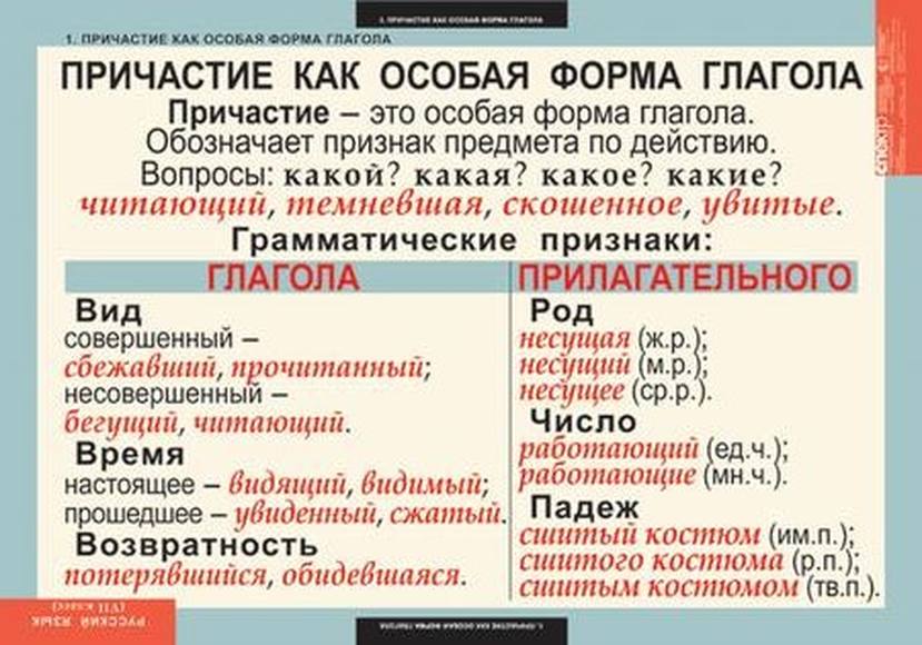 Таблицы Русский язык 7 класс 7 шт.
