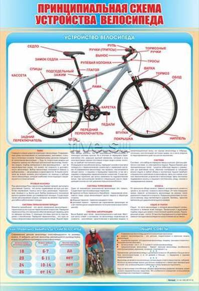 Стенд "Принципиальная схема устройства велосипеда"