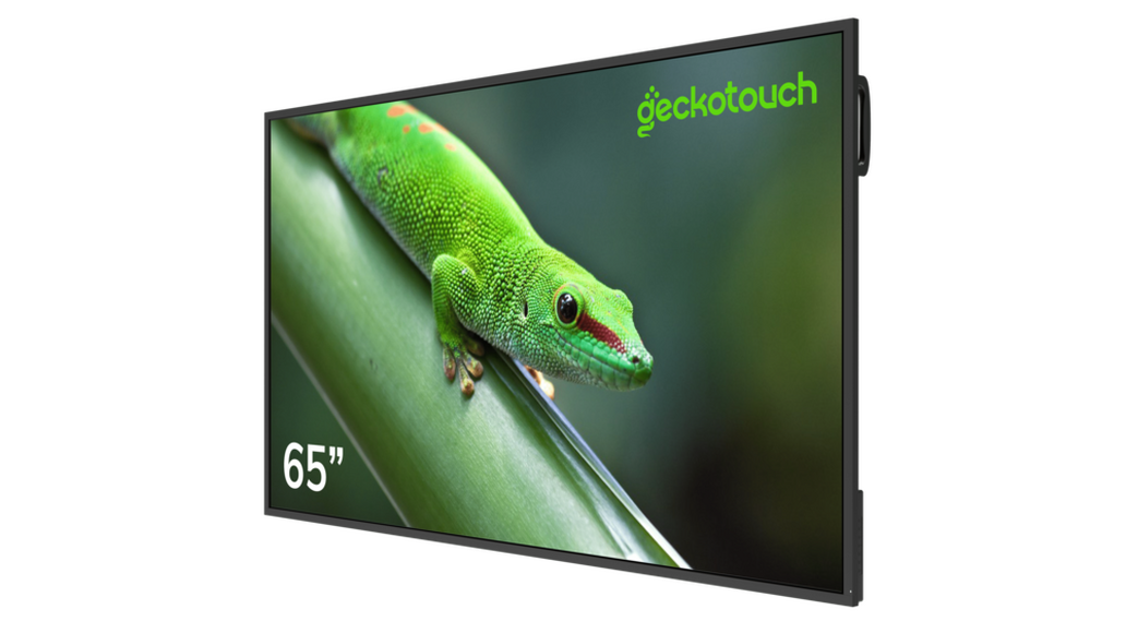 Профессиональные дисплей "Geckotouch 65DF"