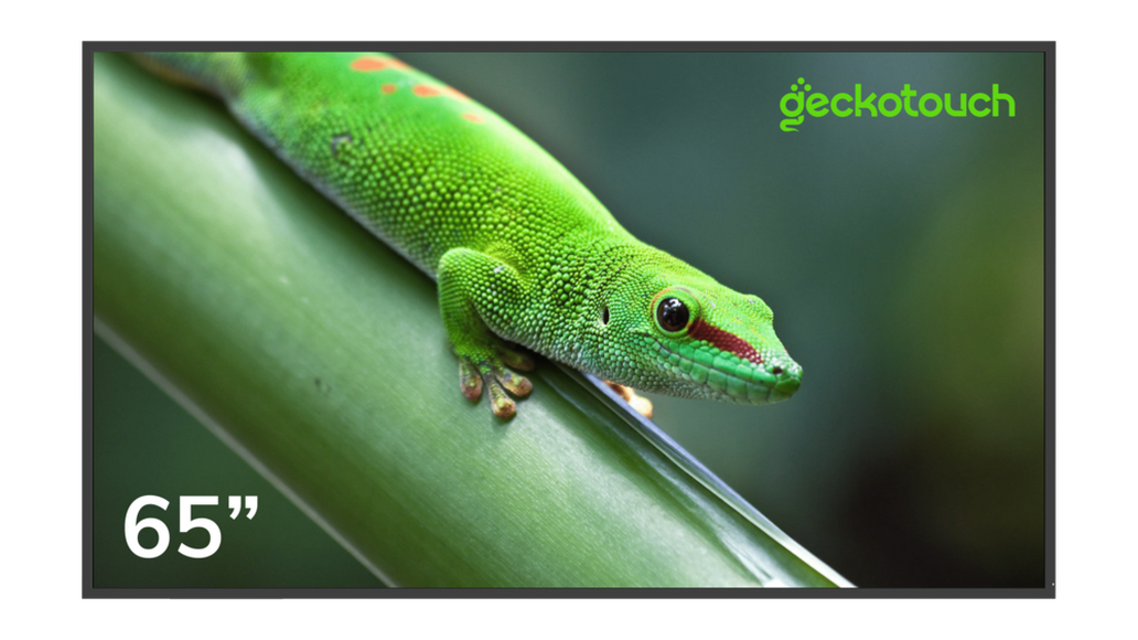 Профессиональные дисплей "Geckotouch 65DF"