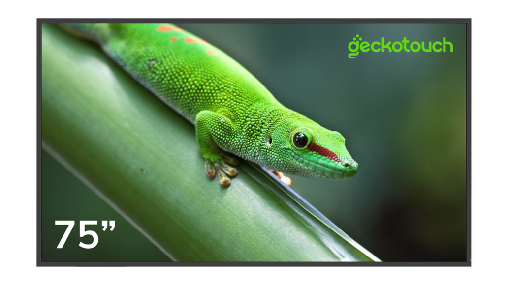 Профессиональные дисплей "Geckotouch 75DF"