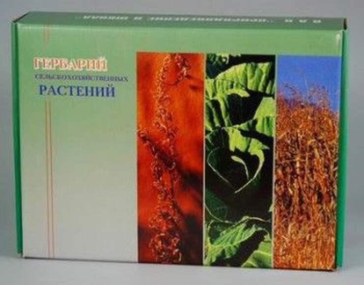 6.3. Гербарий «Сельскохозяйственные растения» / Биотехнологии и пищевое производство. Агроклассы
