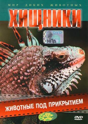 Хищники: Животные под прикрытием