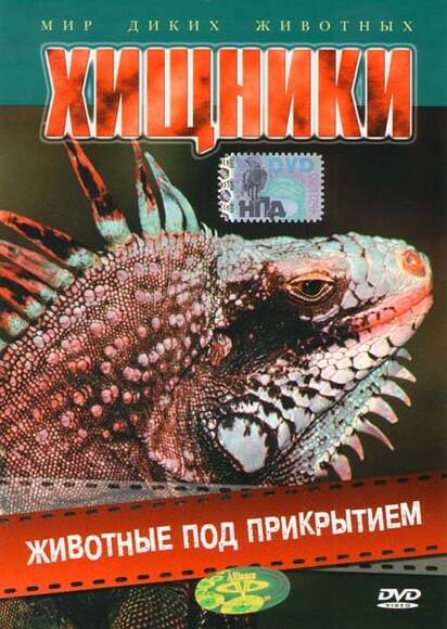 Хищники: Животные под прикрытием
