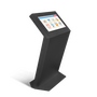 Интерактивный терминал NextStand 24P