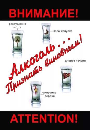 DVD-фильм Алкоголь. Признать виновным