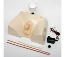 Тренажер  для катетеризации мужского мочевого пузыря (35х24х17 см)