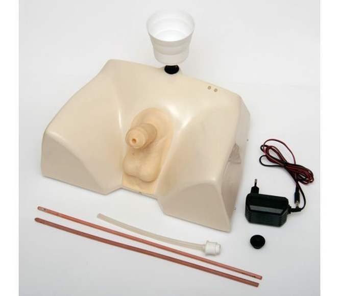 Тренажер  для катетеризации мужского мочевого пузыря (35х24х17 см)