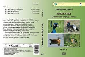 Основные отряды птиц. Часть 1  (3 сюжета, 28 мин), DVD-диск