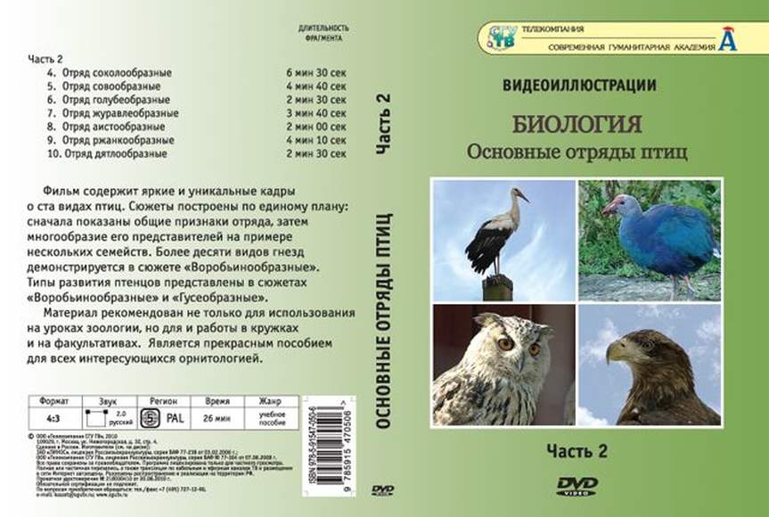 Основные отряды птиц. Часть 2 (7 сюжетов, 26 мин), DVD-диск