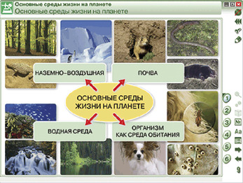 Наглядная биология. Введение в экологию, 9, 11 кл.
