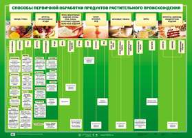 Плакат Способы первичной обработки продуктов растительного происхождения, 59х84 см, А1, двухсторонне