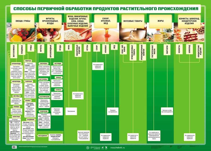 Плакат Способы первичной обработки продуктов растительного происхождения, 59х84 см, А1, двухсторонне