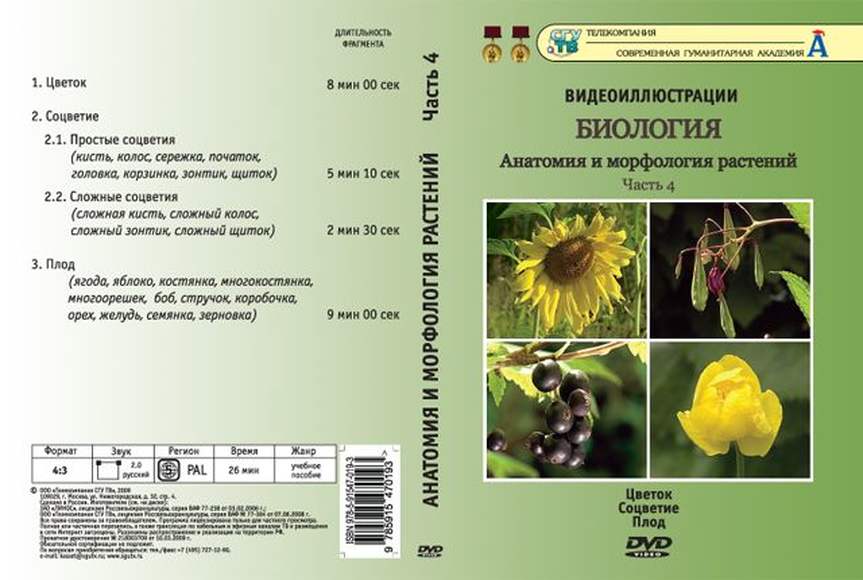 DVD-диск, Анатомия и морфология растений: Часть 4. Цветок. Соцветие. Плод  (4 сюжета, 26 мин)
