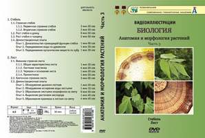 DVD-диск, Анатомия и морфология растений: Часть 3. Стебель. Лист  (17 сюжетов, 36 мин