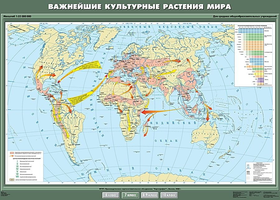 Учебн. карта "Важнейшие культурные растения мира" 100х140