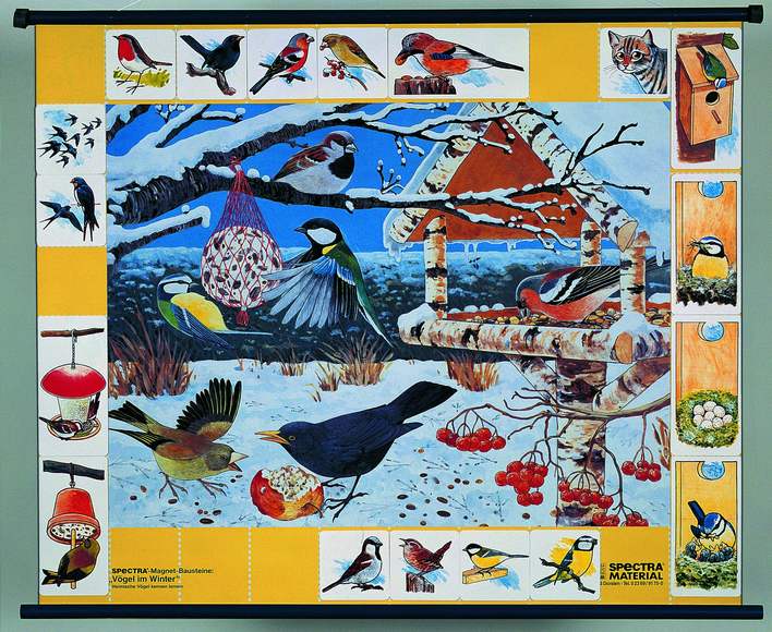 Плакат магнитный "Птицы зимой" с методическими рекомендациями