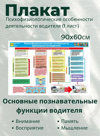 Психофизиологические особенности деятельности водителя (808-Приказ)