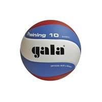 Мяч волейбольный Gala Training 10