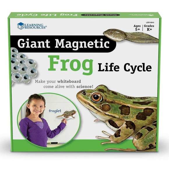 LER6041 Развивающая игрушка "Жизненный цикл лягушки", магнитный  (демонстрационный материал, 9 элеме